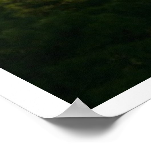 De Skyline van Corolla Beach Poster (Hoek)