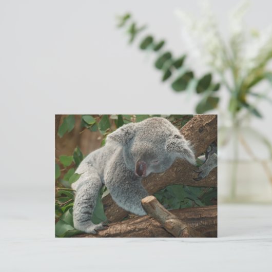 De Slaap van Australië Teddy van de koala Briefkaart (Staand voorkant)