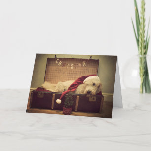De slaap van de hond in koffer feestdagen kaart