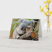 De Slaap van de koala wordt goed Kaart (Gele Bloem)