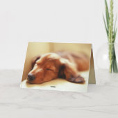 De slaap van de tekkel kaart (Achterkant)