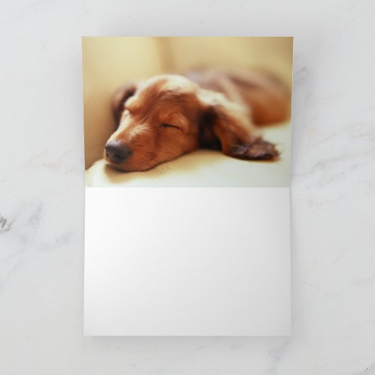 De slaap van de tekkel kaart (Binnen)