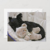 De Slaap van het Puppy van Scottie Briefkaart (Voorkant / Achterkant)