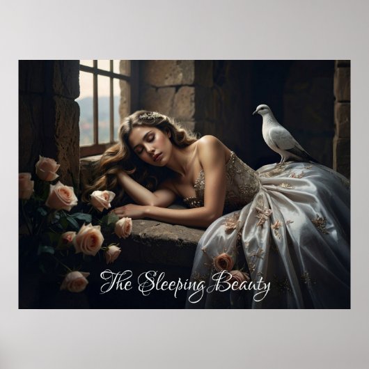 DE SLAAPSTER - BALLET & DANS POSTER (Voorkant)