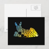 " De slaapzebra " Briefkaart (Voorkant / Achterkant)