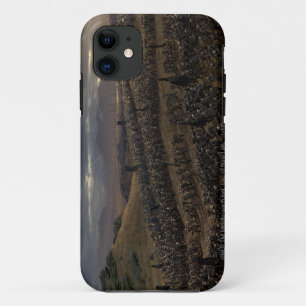 De slag van de Gebieden Pelennor Case-Mate iPhone Case
