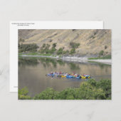 De slang drijven briefkaart (Voorkant / Achterkant)