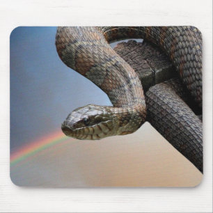 De slang en de regenboog muismat