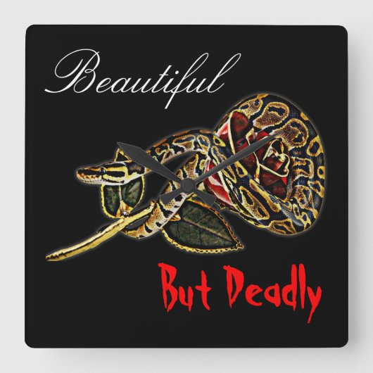 De slang nam klokpython toe vierkante klok (Voorkant)