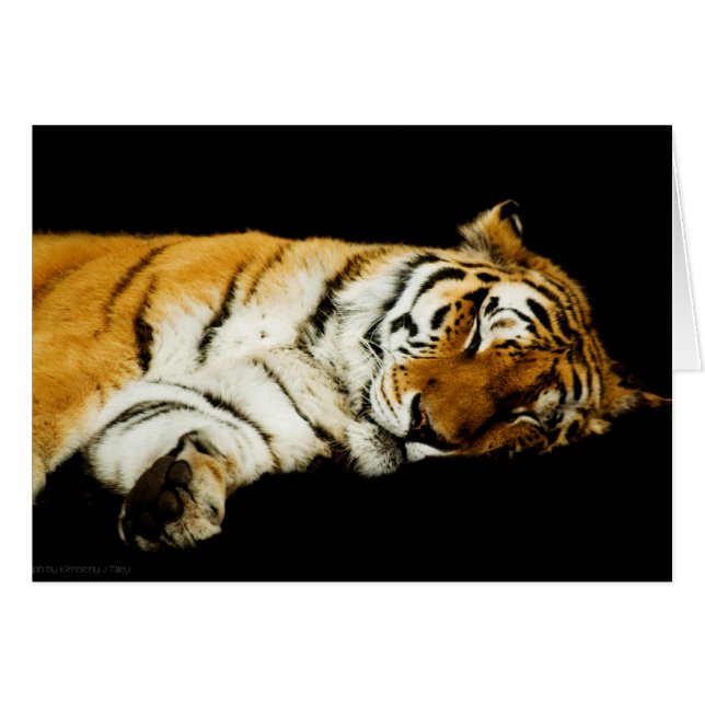 De slapende Amur Kaart (Voorkant Horizontaal)