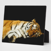 De slapende Amur Plaque Fotoplaat (Zijkant)