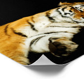 De slapende Amur-print Poster (Hoek)