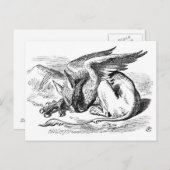 De slapende griffie briefkaart (Voorkant / Achterkant)