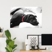 De slapende hond poster (Thuiskantoor)