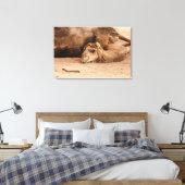 de slaperige blik van een dromedary op canvas prin afdruk (Insitu (Slaapkamer))