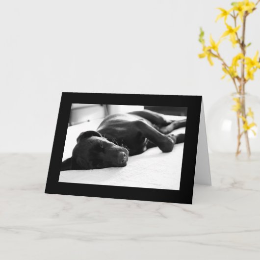 De slaperige Labrador van het Puppy Kaart (Gele Bloem)