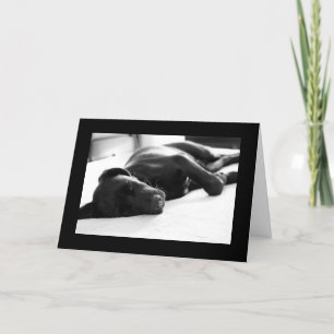 De slaperige Labrador van het Puppy Kaart