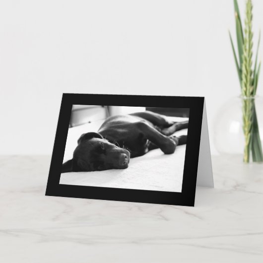 De slaperige Labrador van het Puppy Kaart (Voorkant)