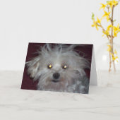 De slechte Dag van het Haar - de Humor van de Hond Kaart (Gele Bloem)