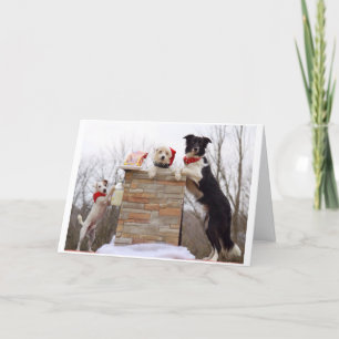 De slechte honden zijn klaar voor de Kerstman. Kaart