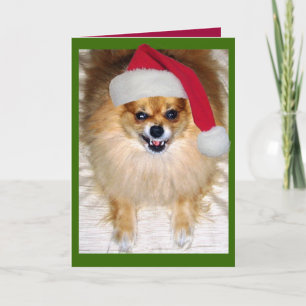 De slechte Kerstkaart van de Kerstman Feestdagen Kaart