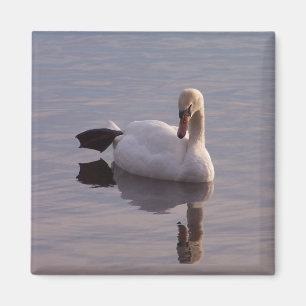 De sleutelhanger magneet