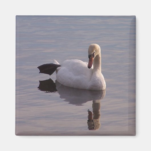 De sleutelhanger magneet (Voorkant)