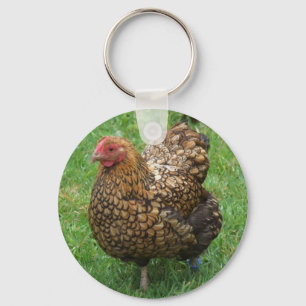 De Sleutelhanger van de kip