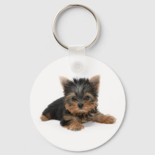 De Sleutelhanger van het Puppy van Yorkshire