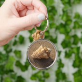De Sleutelhanger van Shell van het Sand Beach van  (Hand)