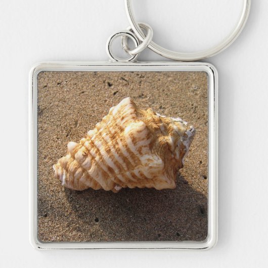 De Sleutelhanger van Shell van het Sand Beach van (Voorkant)