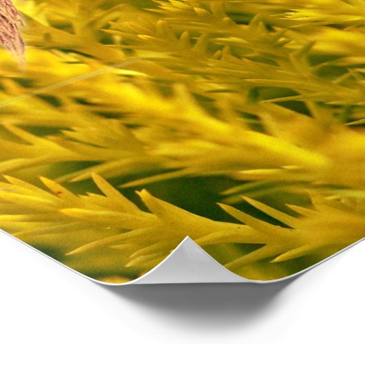 De slik poster (Hoek)