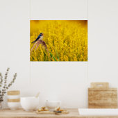 De slik poster (Keuken)