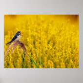 De slik poster (Voorkant)