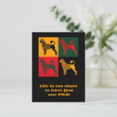 De slimme Portugese waterhond Briefkaart (Staand voorkant)