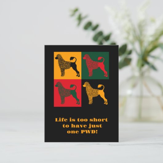 De slimme Portugese waterhond Briefkaart (Staand voorkant)