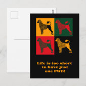 De slimme Portugese waterhond Briefkaart (Voorkant / Achterkant)