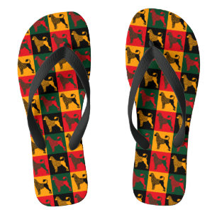 De slimme Portugese waterhond Teenslippers