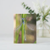 De smaragdgroene damselfly briefkaart (Staand voorkant)