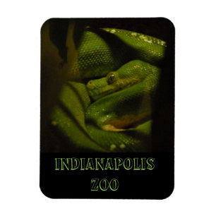 De smaragdgroene Foto van de Dierentuin van Indy Magneet