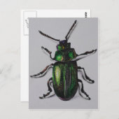 De smaragdgroene Producten van de Kever Briefkaart (Voorkant / Achterkant)