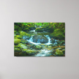 De smaragdgroene stroom van de Ierse beek Canvas Afdruk