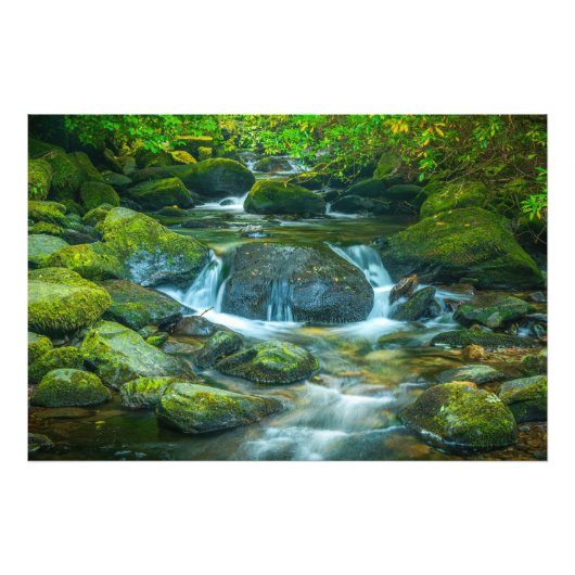 De smaragdgroene stroom van de Ierse beek Foto Afdruk (Voorkant)