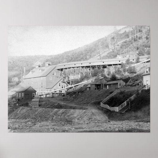 De Smet Gold Stamp Mill in Central City Poster (Voorkant)
