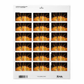 DE SNAREN VAN ZONNESCHIJN ETIKET (Full Sheet)