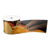 DE SNAREN VAN ZONNESCHIJN SATIJNEN LINT (Spoel)