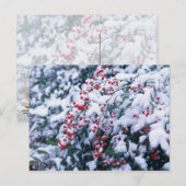 De sneeuw Behandelde Bessen van de Hulst - de Feestdagenkaart (Voorkant / Achterkant)