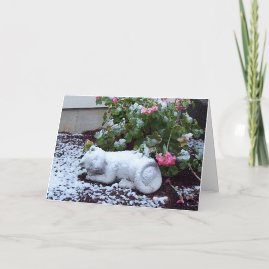 De sneeuw Behandelde Kaart van de Kat (Voorkant)