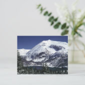 De sneeuw Briefkaarten van de Berg van Colorado (Staand voorkant)