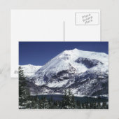De sneeuw Briefkaarten van de Berg van Colorado (Voorkant / Achterkant)